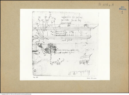 Vorderseite von bh173603_recto
