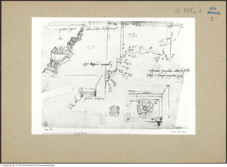Vorderseite von bh173605_recto