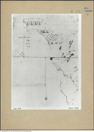 Vorderseite von bh173609_recto