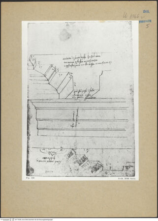 Vorderseite von bh173658_recto