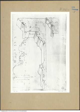 Vorderseite von bh173662_recto