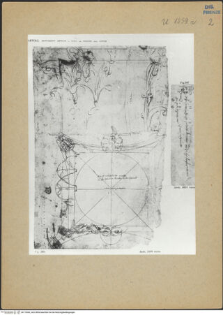 Vorderseite von bh173696_recto