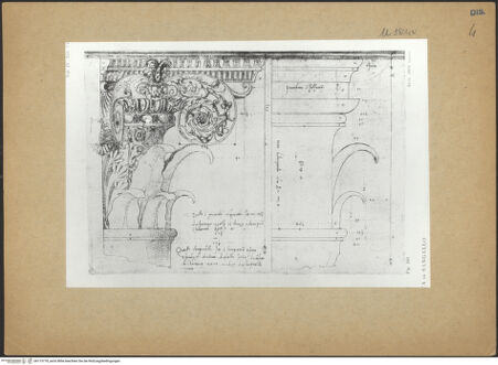 Vorderseite von bh173718_recto