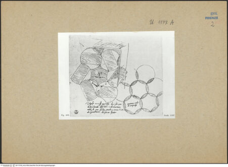 Vorderseite von bh173760_recto