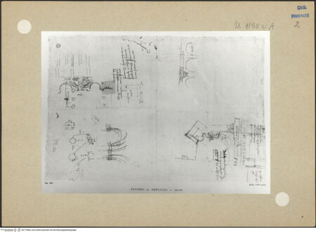 Vorderseite von bh173960_recto