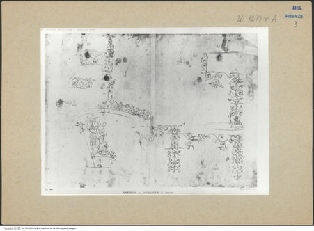 Vorderseite von bh174365_recto