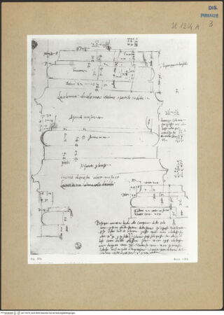 Vorderseite von bh174379_recto
