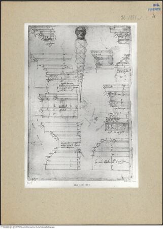 Vorderseite von bh174474_recto