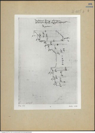 Vorderseite von bh174491_recto