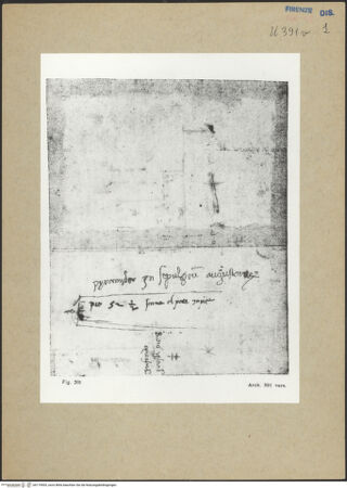 Vorderseite von bh174505_recto