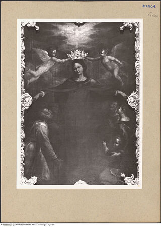 Vorderseite von bh174627_recto