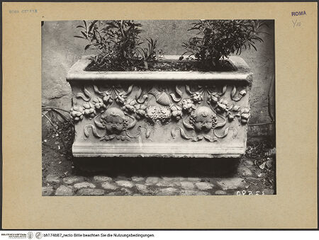 Vorderseite von bh174687_recto