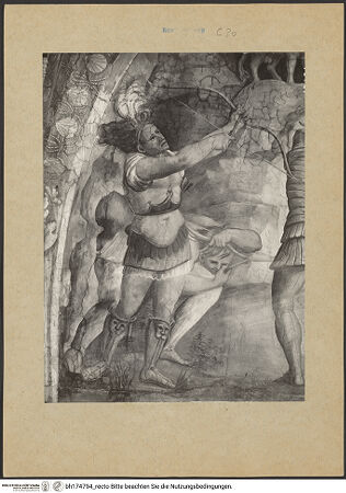 Vorderseite von bh174794_recto