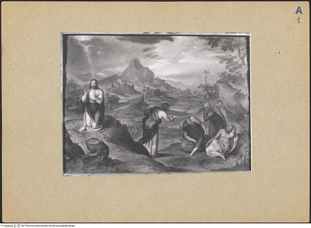 Vorderseite von bh174923_recto