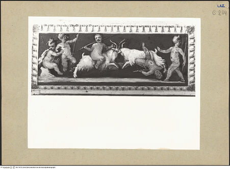 Vorderseite von bh174975_recto