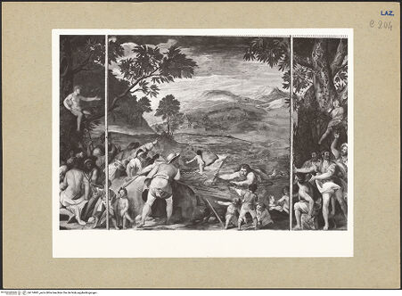 Vorderseite von bh174981_recto