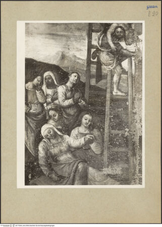 Vorderseite von bh175266_recto