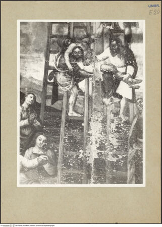 Vorderseite von bh175268_recto