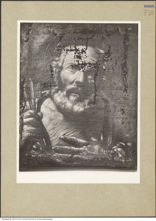 Vorderseite von bh175281_recto