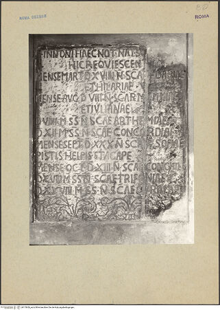 Vorderseite von bh175659_recto