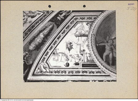 Vorderseite von bh175721_recto