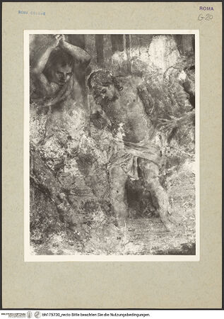 Vorderseite von bh175730_recto