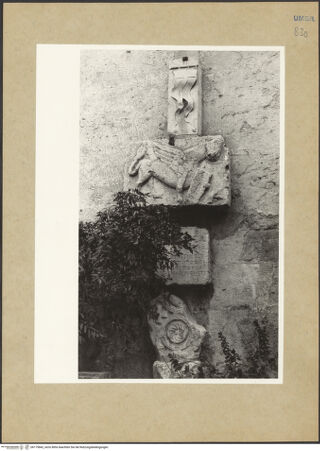 Vorderseite von bh175842_recto