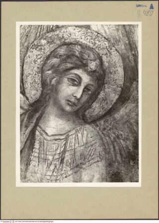 Vorderseite von bh175930_recto