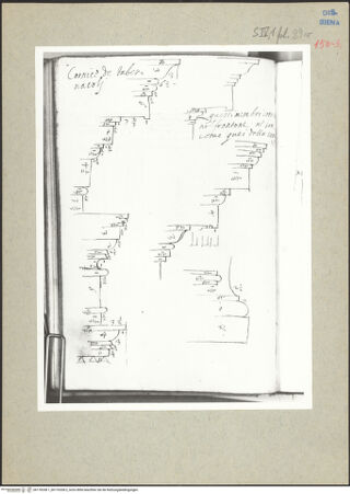 Vorderseite von bh176338-1_bh176338-2_recto