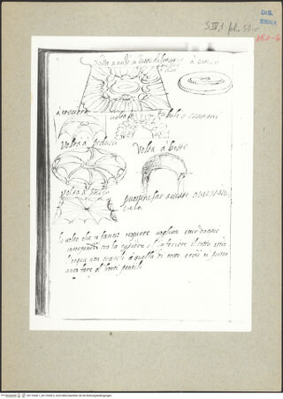 Vorderseite von bh176436-1_bh176436-2_recto