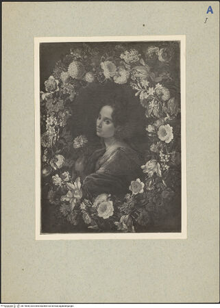 Vorderseite von bh176648_recto