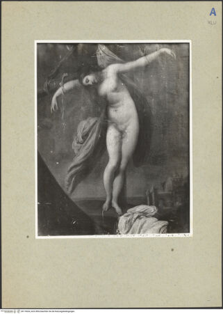 Vorderseite von bh176654_recto