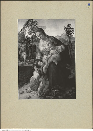 Vorderseite von bh176666_recto