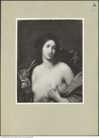 Vorderseite von bh176674_recto