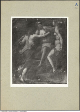 Vorderseite von bh176676_recto