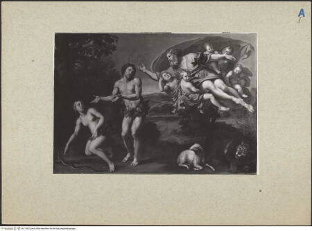 Vorderseite von bh176678_recto