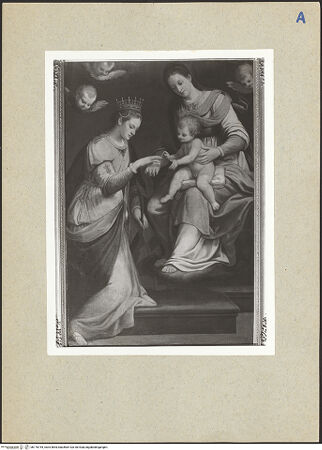 Vorderseite von bh176744_recto