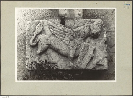 Vorderseite von bh176875_recto