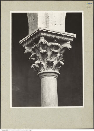 Vorderseite von bh177045_recto