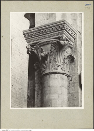 Vorderseite von bh177046_recto