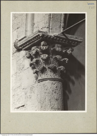 Vorderseite von bh177055_recto