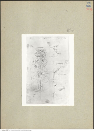 Vorderseite von bh177244_recto