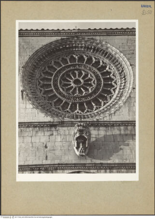 Vorderseite von bh177266_recto