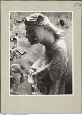 Vorderseite von bh177312_recto