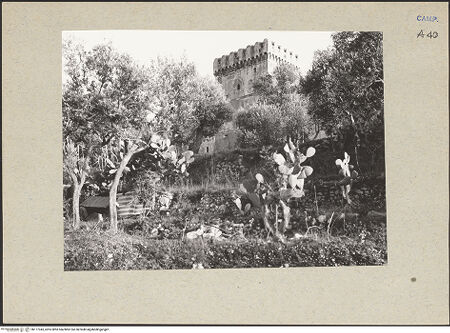 Vorderseite von Bibliotheca Hertziana [https://www.deutsche-digitale-bibliothek.de/content/lizenzen/rv-fz/] Torre Materita - Turm, bh177345_recto. Foto: Lehmann-Brockhaus, Otto.