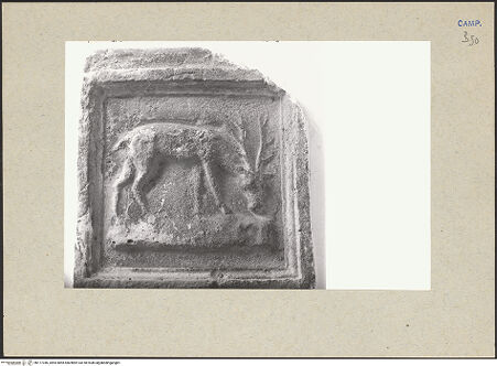 Vorderseite von Bibliotheca Hertziana [https://www.deutsche-digitale-bibliothek.de/content/lizenzen/rv-fz/] Terrakotta-Täfelchen mit Hirsch - Gesamtansicht, bh177346_recto. Foto: Lehmann-Brockhaus, Otto.