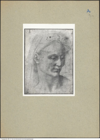 Vorderseite von bh177386_recto