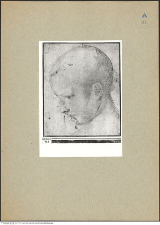 Vorderseite von bh177397_recto