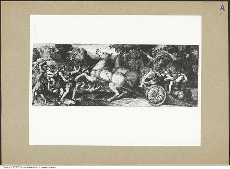 Vorderseite von bh177463_recto