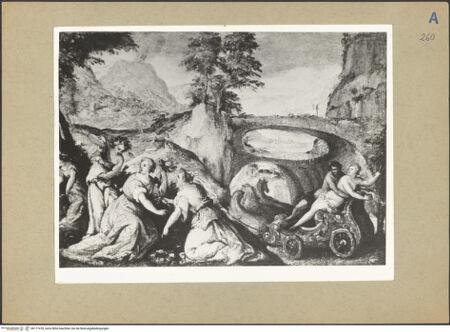 Vorderseite von bh177478_recto